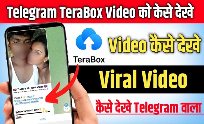 terabox watch online